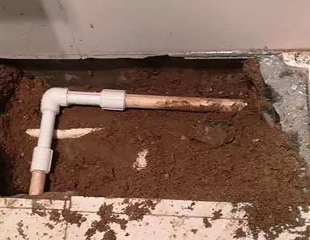 北流测漏水哪家好