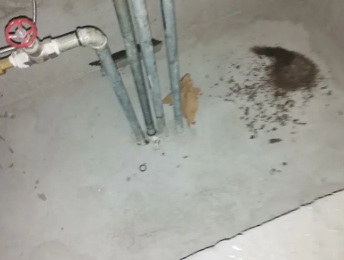 北流卫生间测漏水价格明细