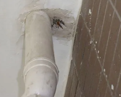 北流漏水检测哪家好